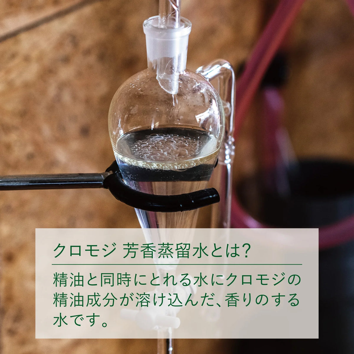 【しんち林業店】サウナのロウリュにも！心ととのう“和の香り”。白山麓クロモジウォーター