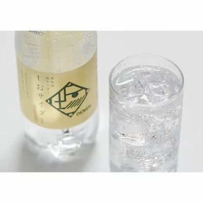【Ante店】奥能登地サイダー「しおサイダー」【PET】 | 伝統の揚げ浜塩DENEN使用 セット販売